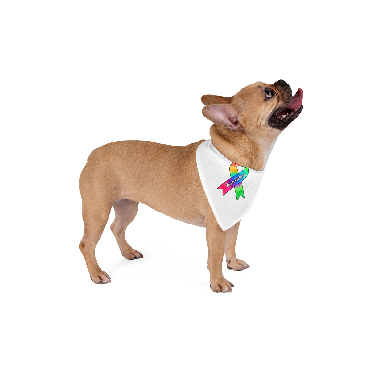 Bandana for Dogs & Cats