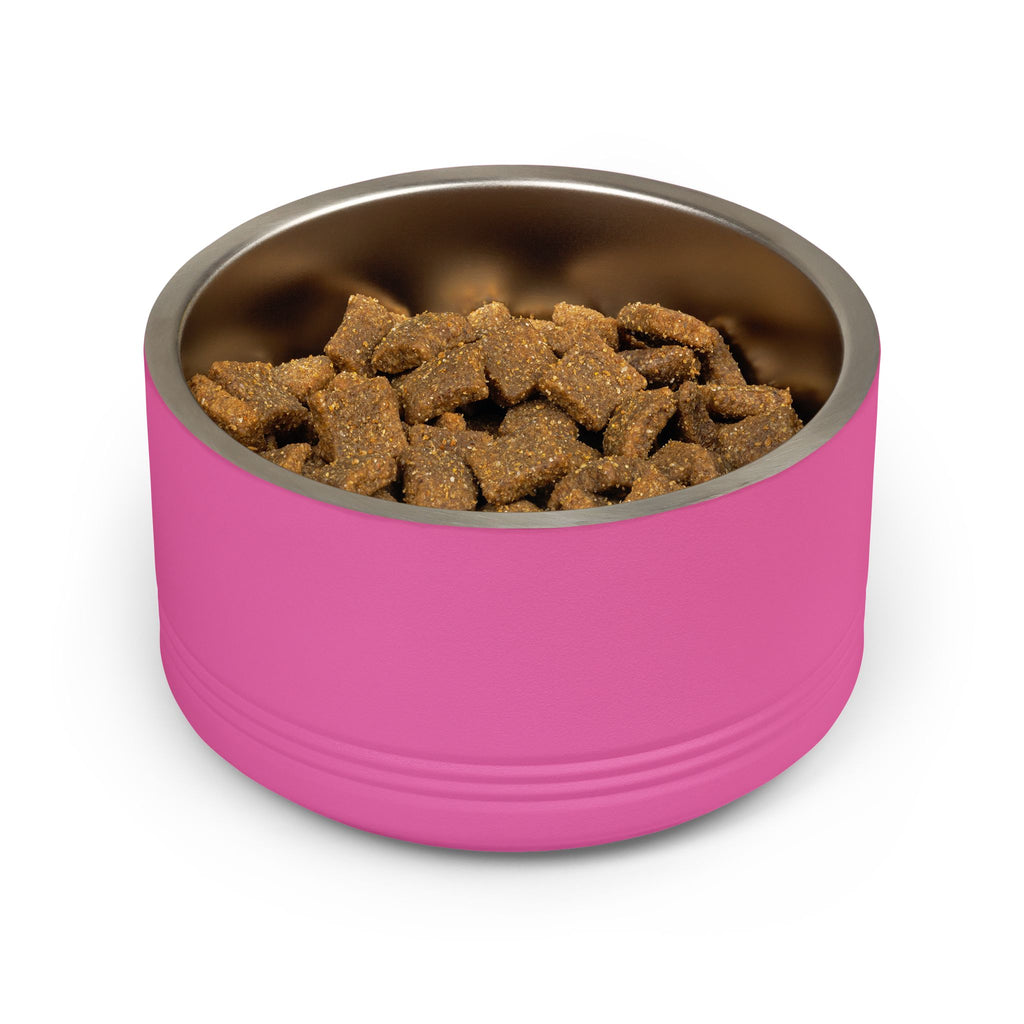 Plain pink stainless steel pet bowl filled with dry food