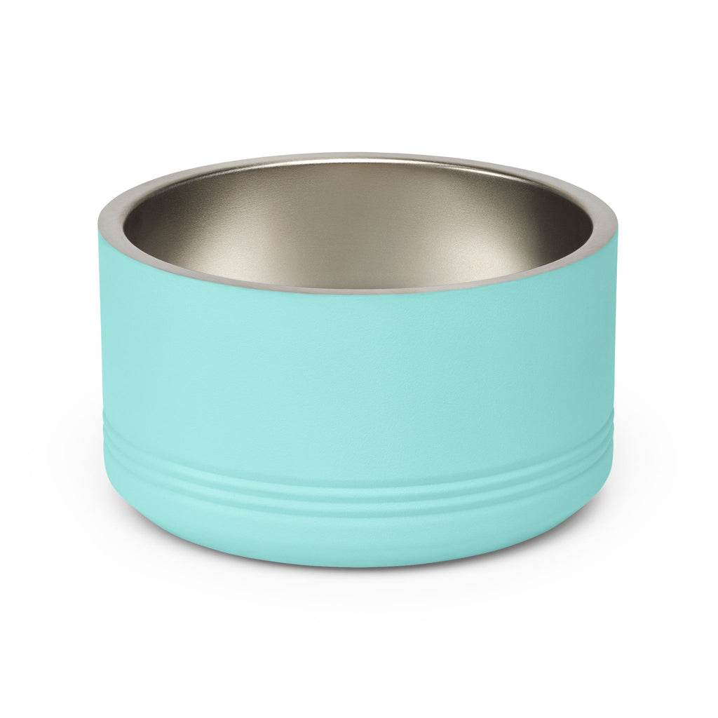 Plain turquoise stainless steel pet bowl showing the exterior