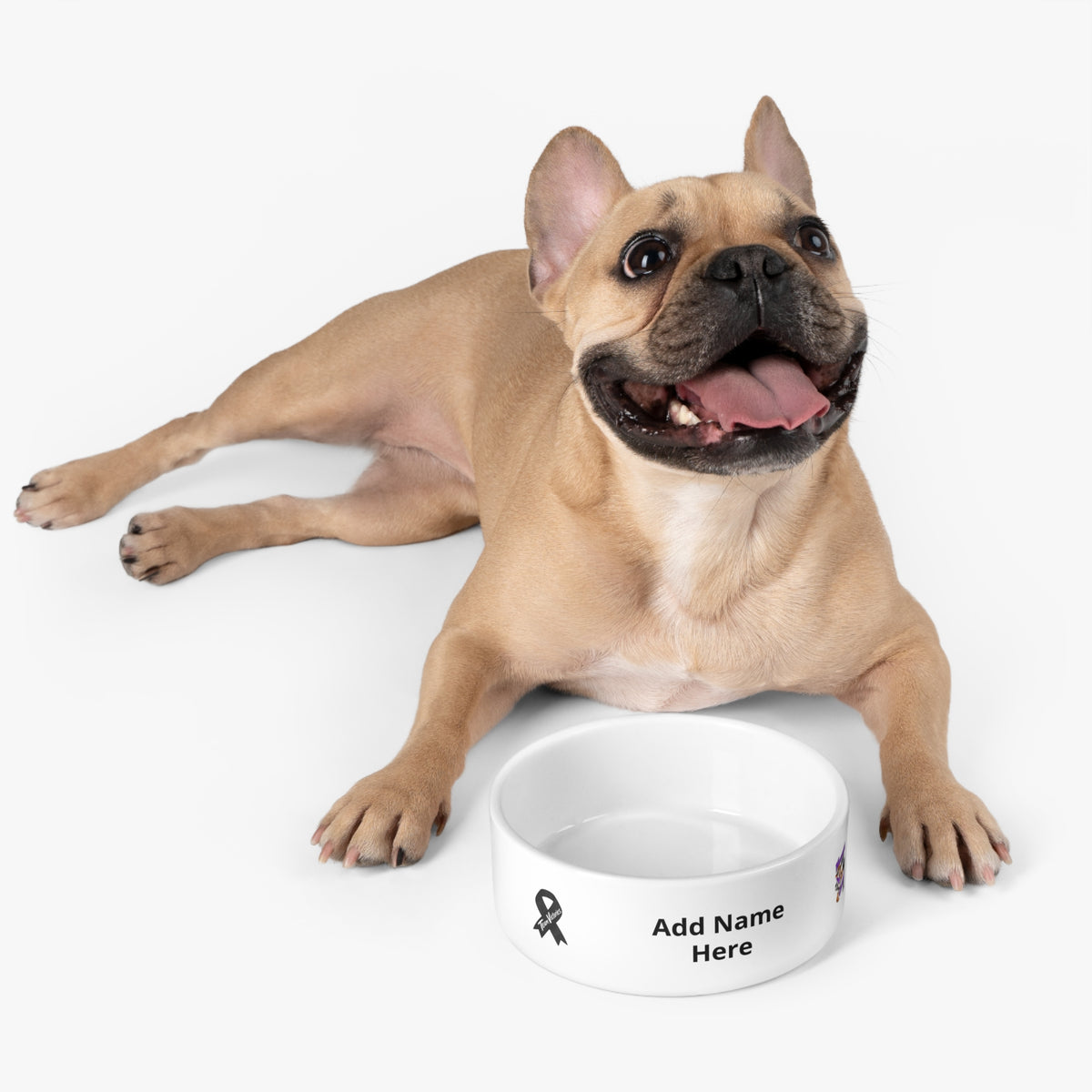 Ceramic Dog/Cat Bowl