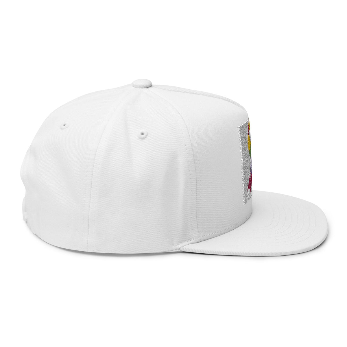 Embroidered Flat Bill Cap — Hat