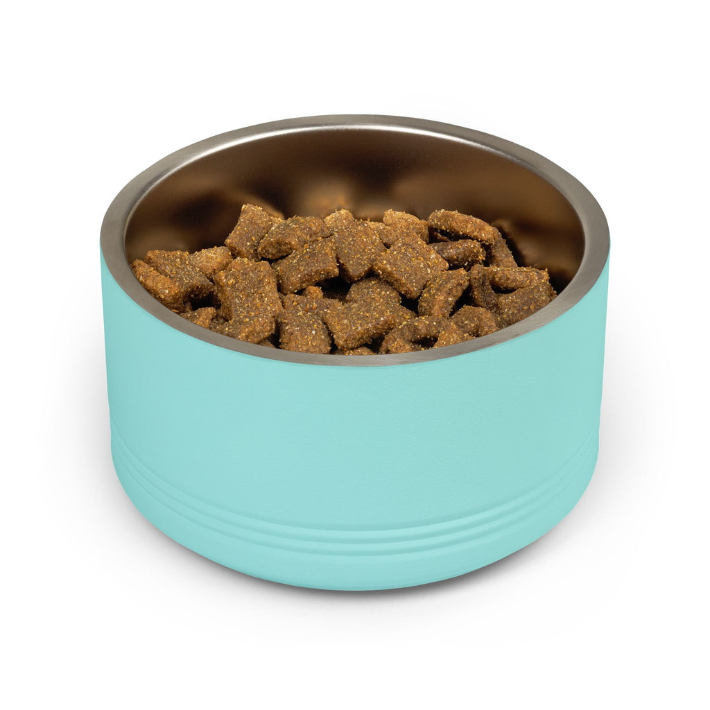 Plain turquoise stainless steel pet bowl filled with dry food