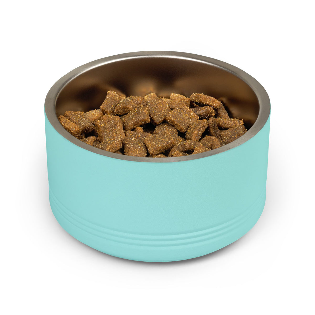 Plain turquoise stainless steel pet bowl filled with dry food
