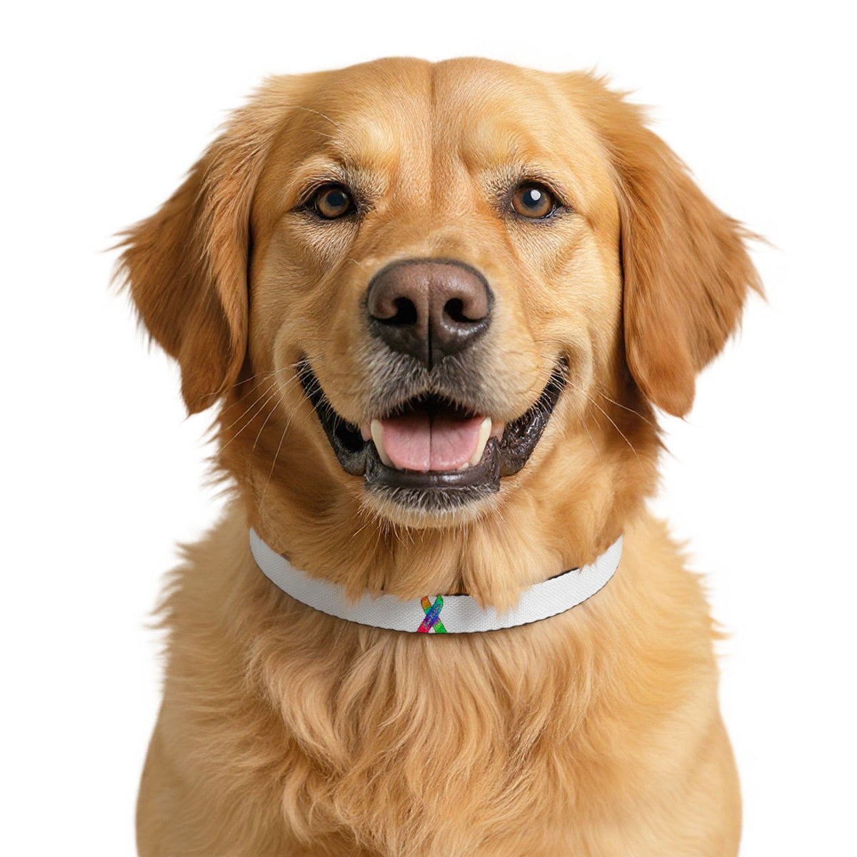 White Clip-On Pet Collar with Lightweight Dog Collar