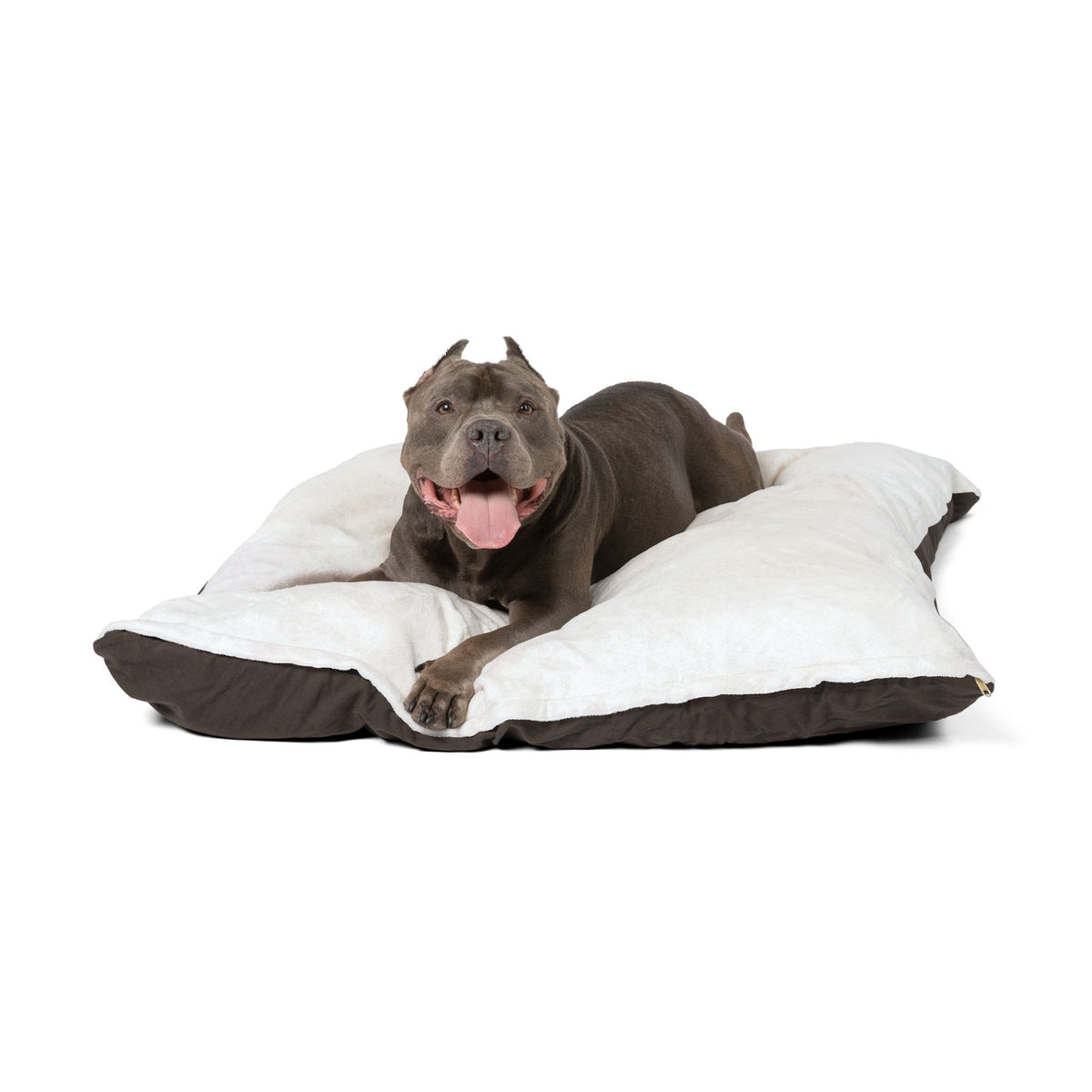 Pet Bed – Plush Dog & Cat Pillow